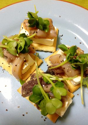 いか塩辛とクリームチーズクラッカー-レシピのメイン写真