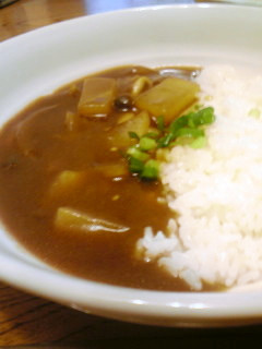 塩麹で和風カレー-レシピのメイン写真
