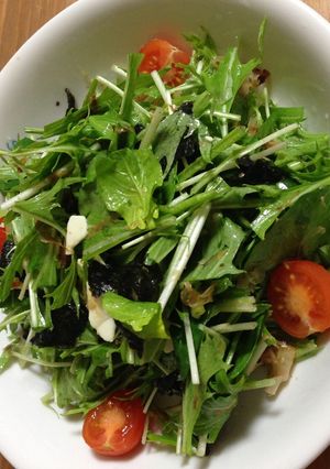 栄養たっぷり！水菜とほうれん草のサラダ☆-レシピのメイン写真