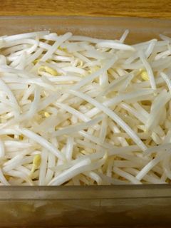 50度洗いでずっとシャキシャキもやし!-レシピのメイン写真