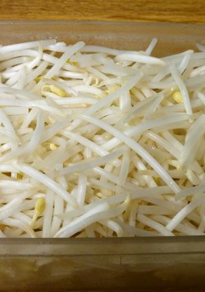 50度洗いでずっとシャキシャキもやし！-レシピのメイン写真