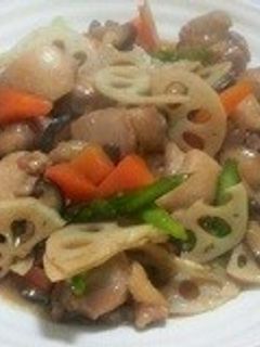 鶏もも肉と根菜の照り焼き風-レシピのメイン写真