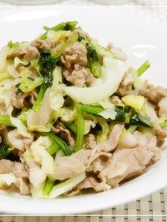 子どもに人気♪豚肉とキャベツ&小松菜炒め-レシピのメイン写真