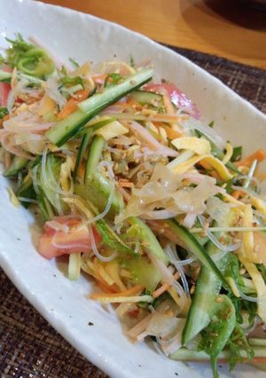 ガッツリ野菜の春雨中華サラダ♪-レシピのメイン写真