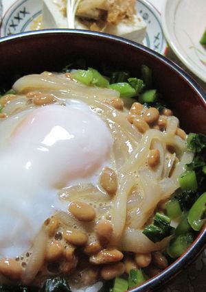 超簡単☆野沢菜イカ納豆丼　-レシピのメイン写真