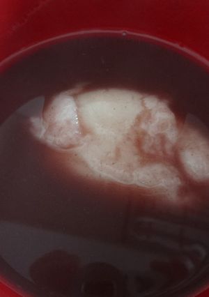 こしあんで簡単おしるこ-レシピのメイン写真