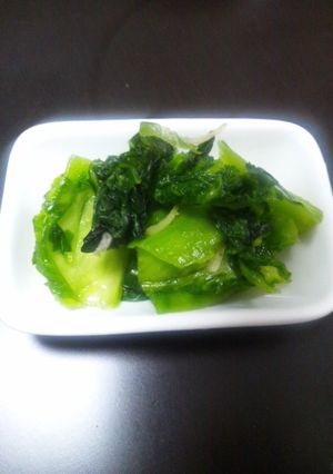 高菜のお漬物-レシピのメイン写真