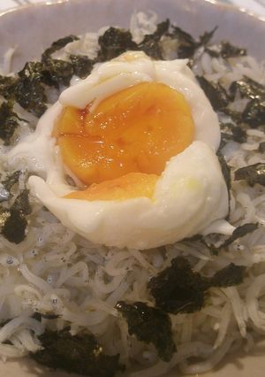 カルシウムタップリしらす丼 +温たま-レシピのメイン写真