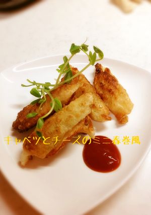 キャベツとチーズのミニ春巻風-レシピのメイン写真