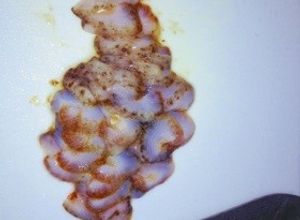 簡単臭み0完璧魚屋さん流ナマコ下処理-レシピのメイン写真