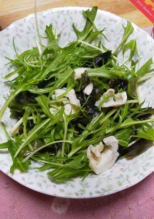 酢の物の残こり酢でわかめ水菜サラダ-レシピのメイン写真