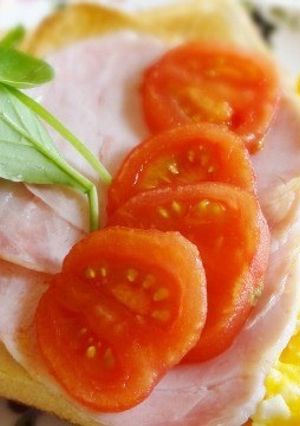 彩り鮮やか朝食-レシピのメイン写真