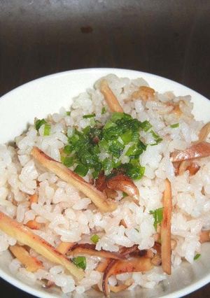 スルメご飯-レシピのメイン写真