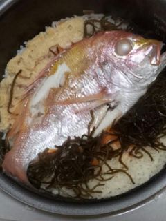 簡単鯛飯ちゃん-レシピのメイン写真