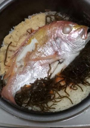 簡単鯛飯ちゃん-レシピのメイン写真