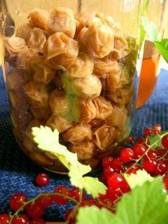小梅の白梅干し-レシピのメイン写真