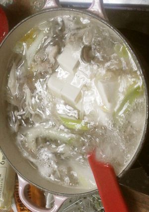 あったまる♪鶏の水炊き-レシピのメイン写真