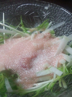 大根と水菜のサラダ明太子ソース-レシピのメイン写真