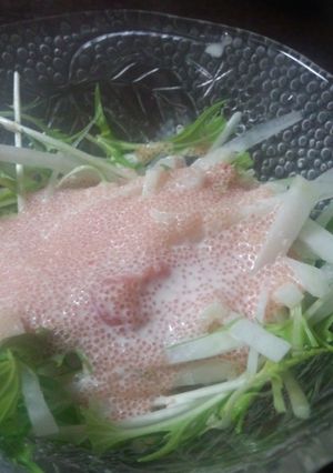 大根と水菜のサラダ明太子ソース-レシピのメイン写真