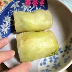 キャベツと豚肉のチーズ春巻き-レシピのメイン写真
