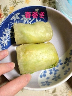 キャベツと豚肉のチーズ春巻き-レシピのメイン写真