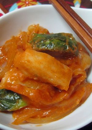 お餅と酒粕コチュダレde トッポギもどき-レシピのメイン写真