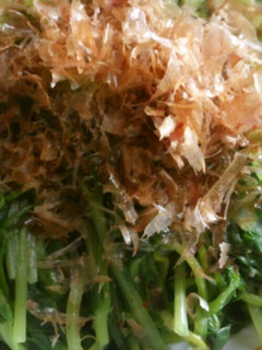 豆苗のおひたし-レシピのメイン写真