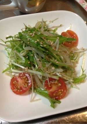 水菜ともやしのサッパリおつまみ-レシピのメイン写真