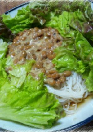 ちょ~簡単!!納豆そうめん-レシピのメイン写真