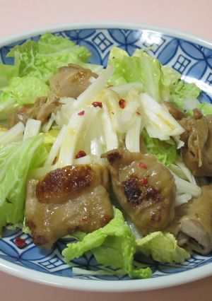 生で白菜もりもりサラダ-レシピのメイン写真