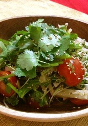 【デトックス②】香菜ヤーコンのサラダ-レシピのメイン写真