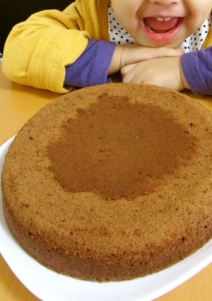 酒粕香るチョコケーキ♪-レシピのメイン写真