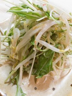 *もやしと水菜のチリソースサラダ*-レシピのメイン写真