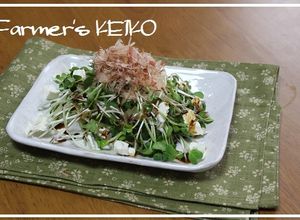 かいわれ大根とクリームチーズのサラダ-レシピのメイン写真