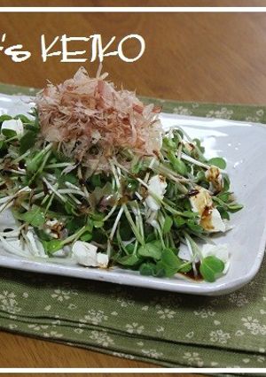 かいわれ大根とクリームチーズのサラダ-レシピのメイン写真