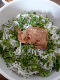 あっという間の梅シラス丼-レシピのメイン写真