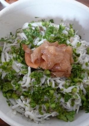 あっという間の梅シラス丼-レシピのメイン写真