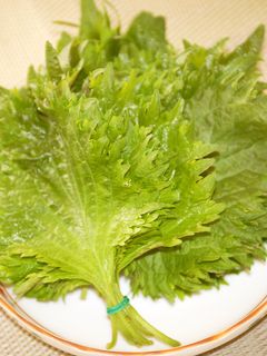 大葉の保存法-レシピのメイン写真