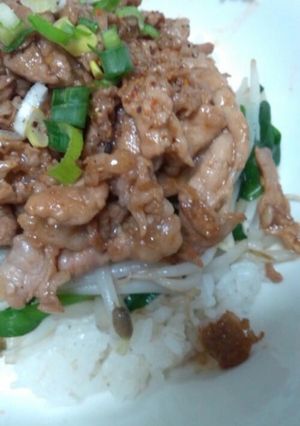 簡単☆スタミナ豚丼-レシピのメイン写真