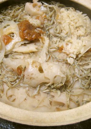 こうなご、イカナゴ、梅、蓮根炊き込みご飯-レシピのメイン写真