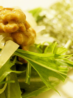 巻くだけ簡単!納豆と水菜のサラダのり巻き-レシピのメイン写真