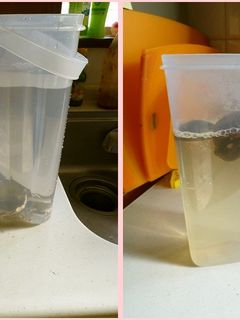 我が家の簡単おだし-レシピのメイン写真
