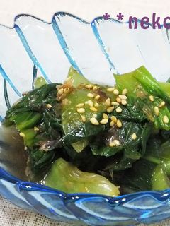 チンゲン菜の中華風おひたし-レシピのメイン写真