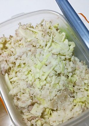 ☆生おからのぽてサラ風→春巻きへ☆-レシピのメイン写真