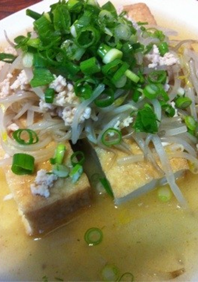 鶏ミンチ厚揚げもやしの炊いたのん-レシピのメイン写真