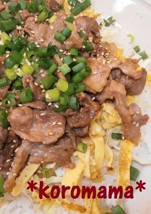 *簡単☆めちゃ旨☆焼肉ちらし＊-レシピのメイン写真