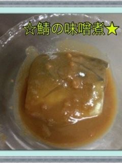 ☆鯖の味噌煮★-レシピのメイン写真