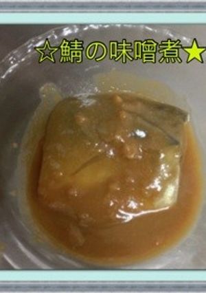 ☆鯖の味噌煮★-レシピのメイン写真