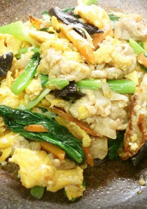 豚肉といろいろ野菜のふんわり卵炒め-レシピのメイン写真