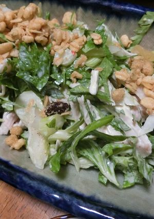 セロリとササミのサラダ-レシピのメイン写真